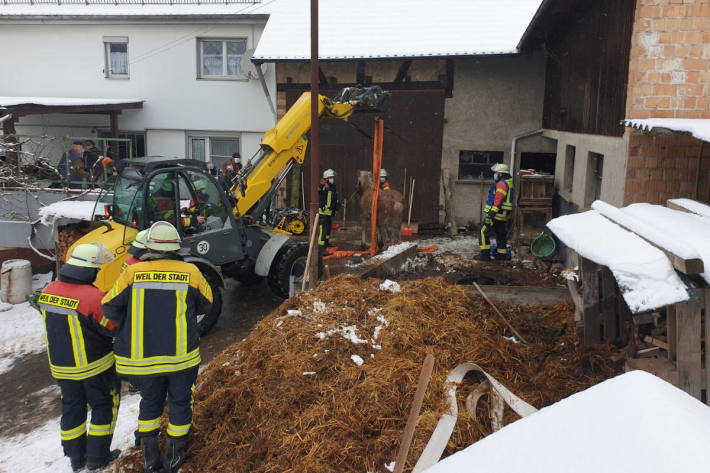 Feuerwehr rettet Pferd aus Güllegrube in Weil der Stadt