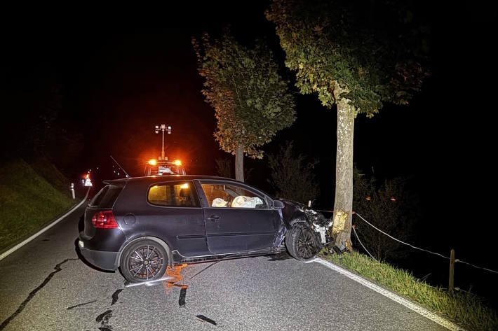 Mit dem Baum kollidiert