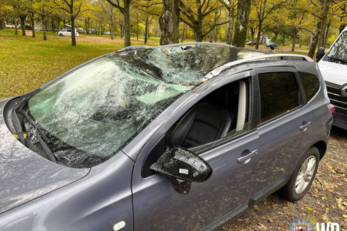 Der Fahrer wurde durch Glassplitter verletzt.