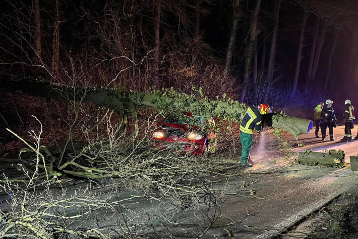 Glück im Unglück - Baum fällt auf Pkw