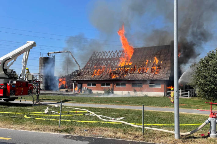 Stallgebäude bei Brand zerstört
