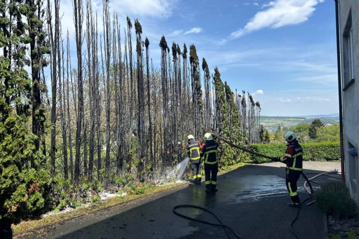 Heckenbrand in Leutwil.