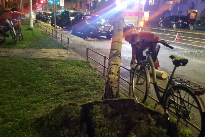 Der Baum stürzte auf der Schimmelstrasse