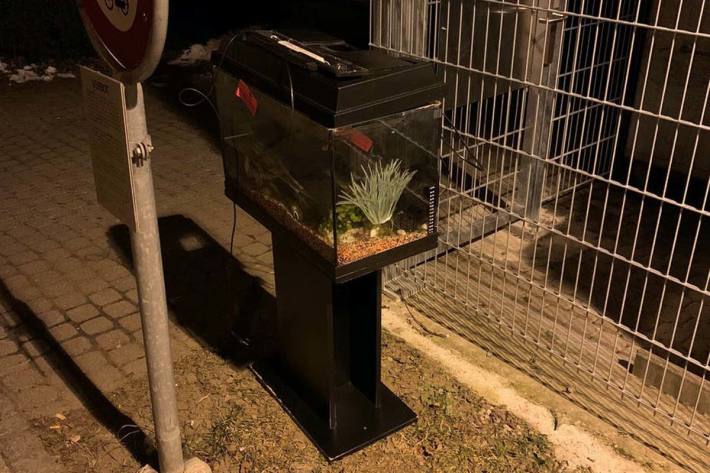 Das Aquarium mit lebenden Zierfischen wurde ausserhalb einer Entsorgungsstelle in Urtenen-Schönbühl abgestellt