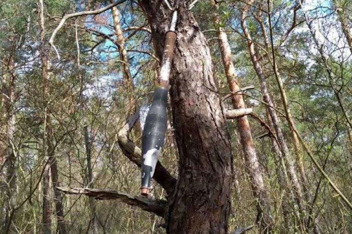 Die Übungsgranate im Baum