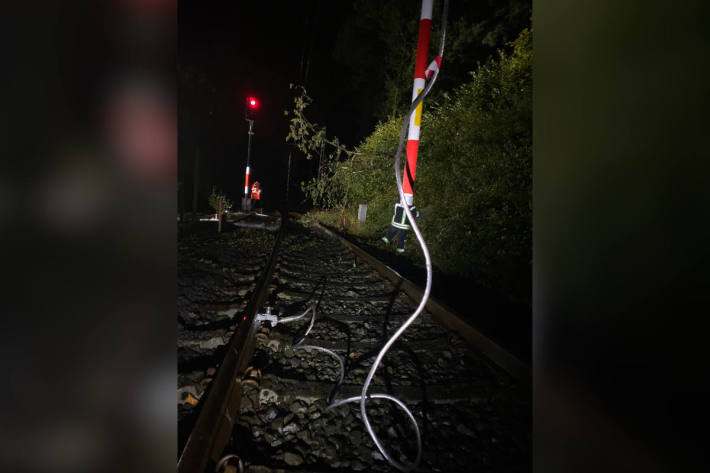 Brennender Baum auf Bahn-Oberleitung