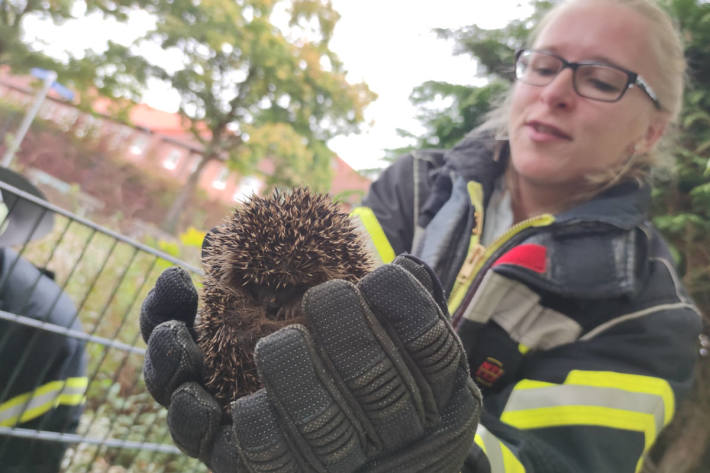 Feuerwehr rettet Igel aus misslicher Lage