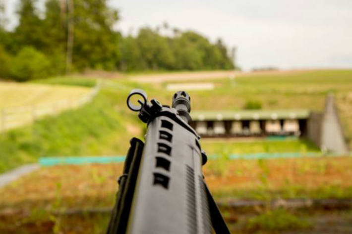 Freund im Rausch mit Luftdruckgewehr im Bezirk Ried angeschossen (Symbolbild)