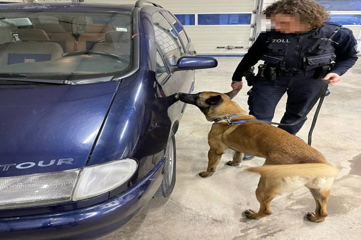 Tabakspürhund "Athos" erschnüffelt ein weiteres Versteck