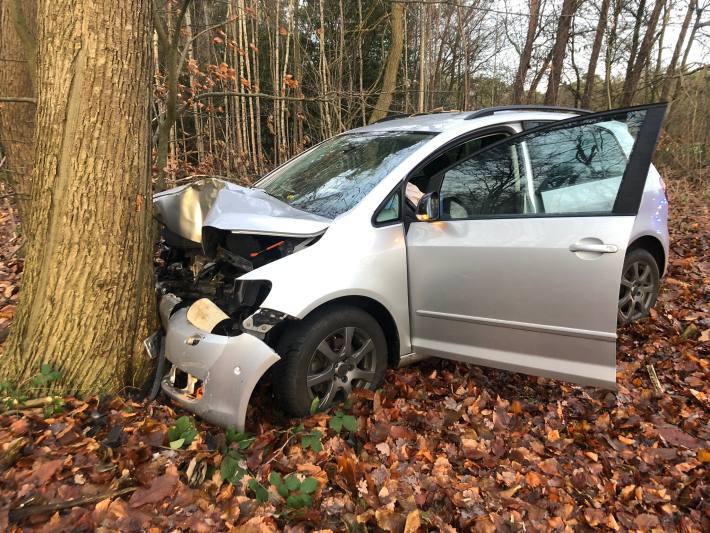 PKW gegen Baum