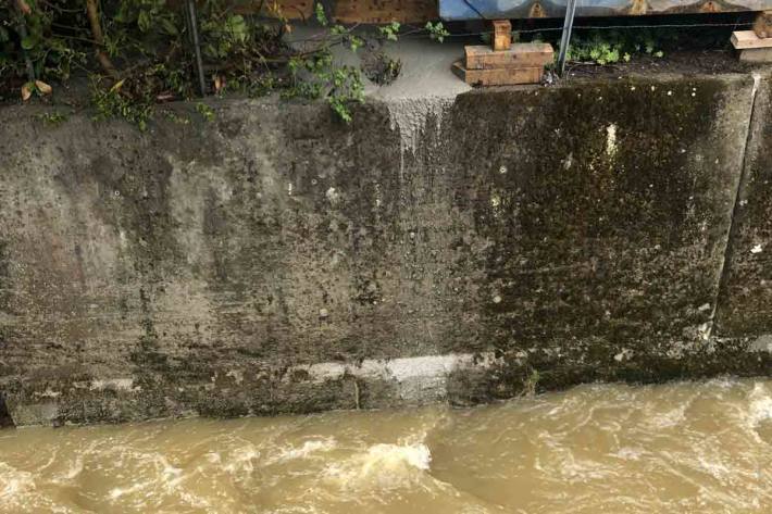 Durchgeführte Wasserproben des Amtes für Umwelt in Gossau ergaben, dass die Menge für die Fische im Bach nicht bedenklich sein dürfte