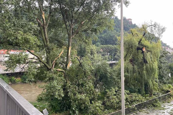 Heftiges Unwetter in Graz - Baum stürzte auf Mehrparteienhaus