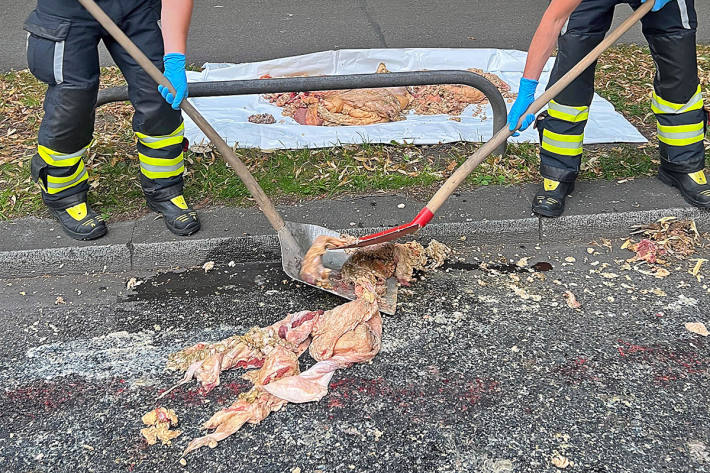 Die Feuerwehr war stundenlang mit der mühseligen Beseitigung beschäftigt.