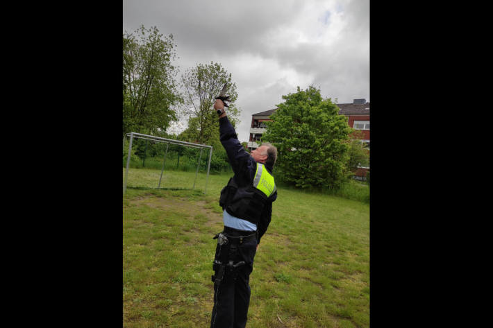 Rettung eines Mauerseglers in Dülmen