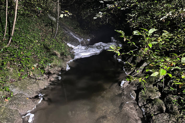 Rüben-Maische im Tägelbach