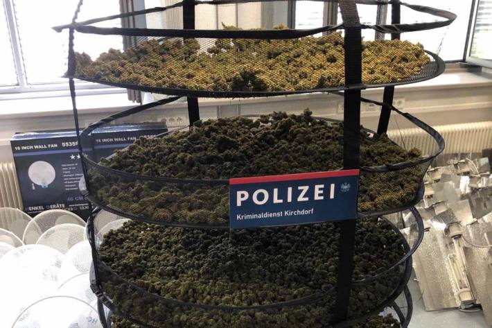 Der Polizei gelang es in Grünburg 22,65 kg bereits abgeerntete und zur Trocknung ausgebreitete bzw. teilweise bereits zum Verkauf abgepackte Cannabisblüten sicherzustellen