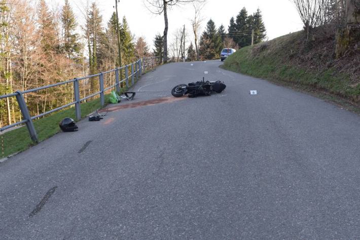 Der Motorradlenker verletzte sich schwer.