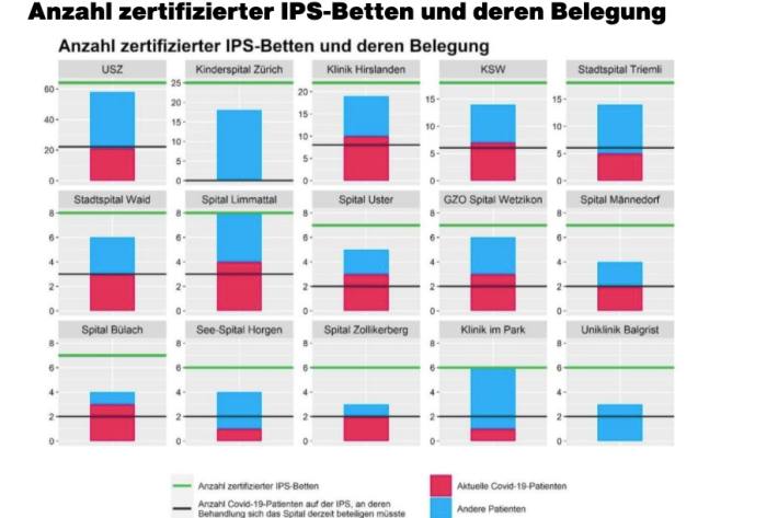 Kanton Zürich - Anzahl zertifizierter IPS-Betten und deren Belegung