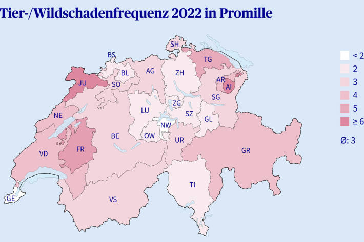 Sämtliche bei der AXA gemeldeten Wildunfälle im Jahr 2022 nach Kanton