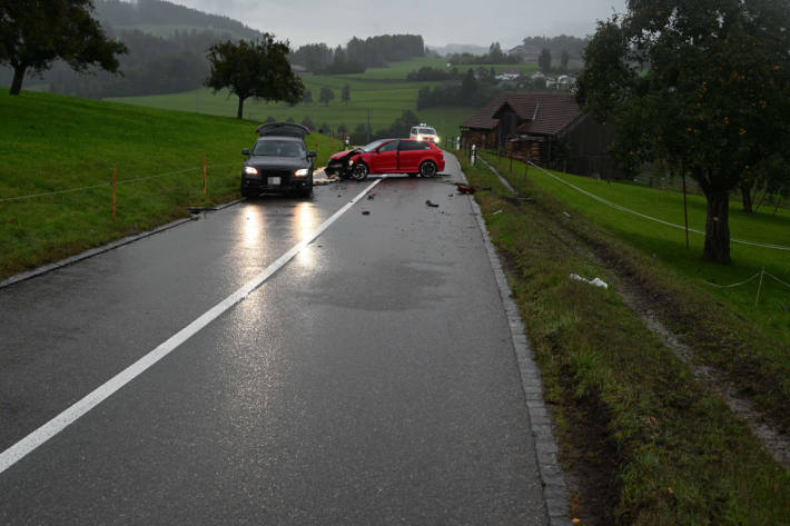 Es kam zu einer Frontalkollision, wobei das korrekt entgegenkommende Fahrzeug nicht mehr ausweichen konnte.