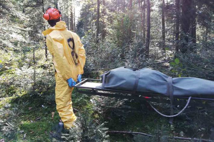 Teilnehmende bergen einen Wildschweinkadaver (Attrappe)