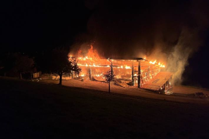 Der Schaden ist gross.