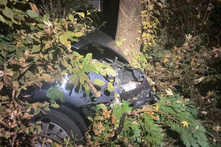 Die Autofahrt endete an einem Baum.