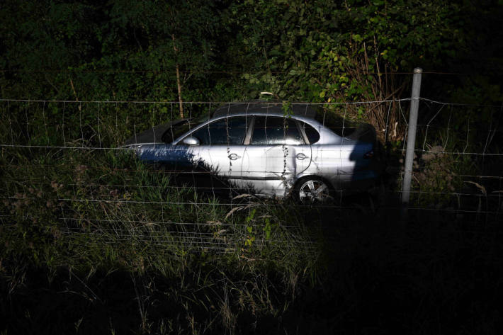 Alkoholisiert in Wildzaun auf der A13 gekracht und hohen Schaden angerichtet