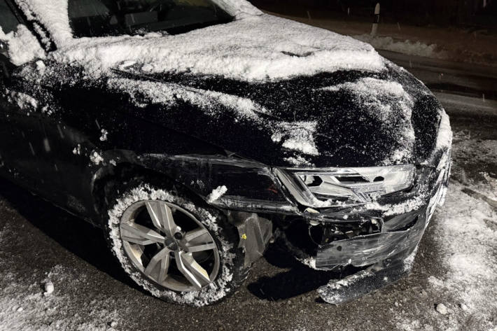 Der Lenker blieb unverletzt.