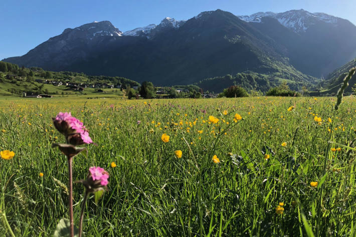 Zum Teil war der April schon richtig warm