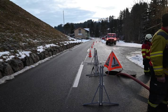 Rund 1000 Fische sind verendet.