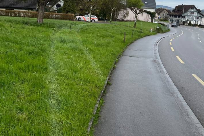 Auto gerät neben die Strasse.