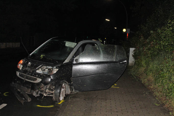 Betrunken und bekifft in Hecke gefahren bei Ascheberg