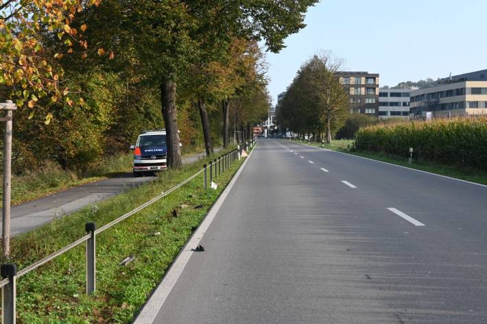 Der Unfallfahrer hat diverse Eisenpfosten zerstört.