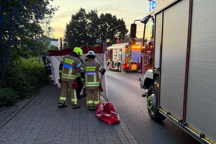 Trotz sofortiger Rettungsmaßnahmen kam für den Fahrer jede Hilfe zu spät.