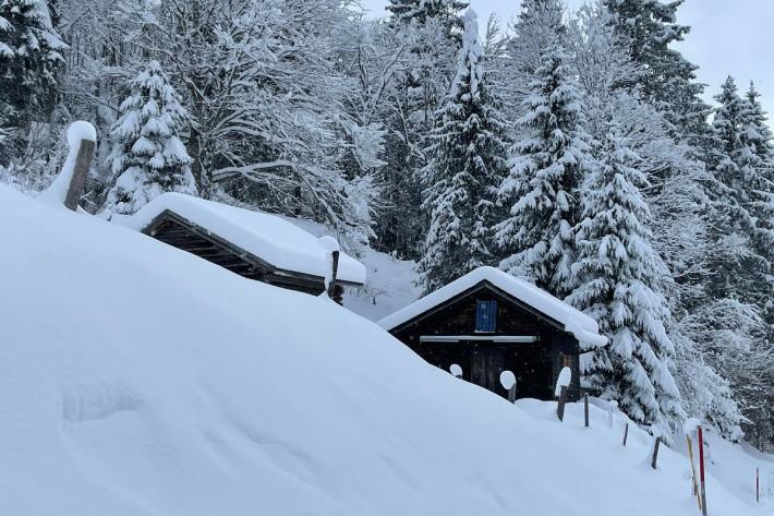 Am Montag 29.11.2021 lagen oberhalb von Schwanden GL auf 1'000 Meter über Meer 50 Zentimeter Neuschnee.