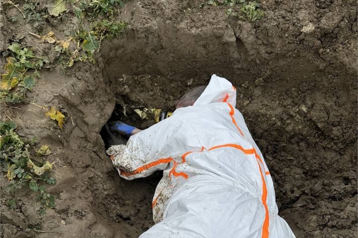 Der Hund befand sich in einem 150m langen Betonrohr