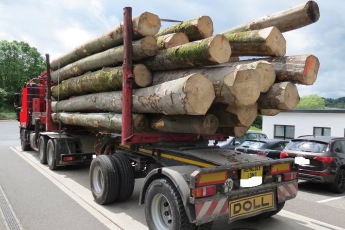 Holztransport mit 47.7 Tonnen