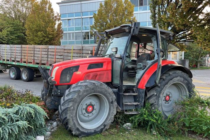 Der beschädigte Baum musste gefällt werden 