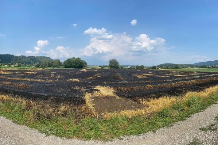 In Ramsen ist gestern auf einem Acker Feuer ausgebrochen.