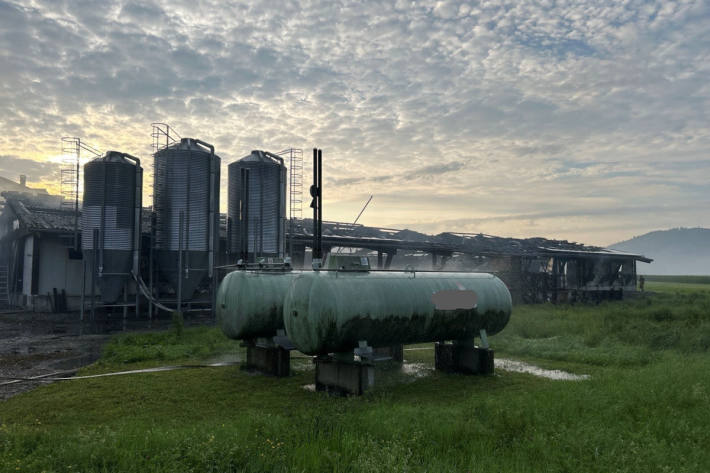 Für 17'000 junge Masthühner kam jede Hilfe zu spät, sie verendeten in den Flammen. 