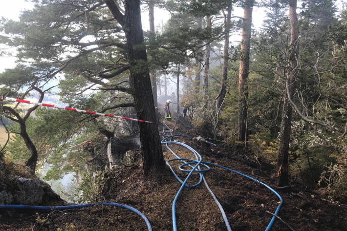 Waldbrand bei Glovelier/JU