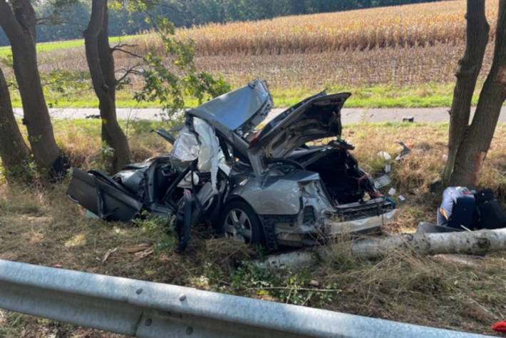 Fahrzeugführer verstirbt noch an der Unfallstelle