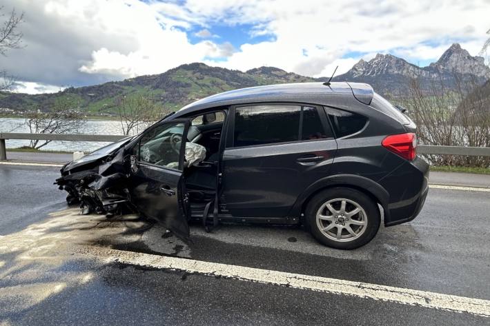 Der Autofahrer blieb als einziger unverletzt.