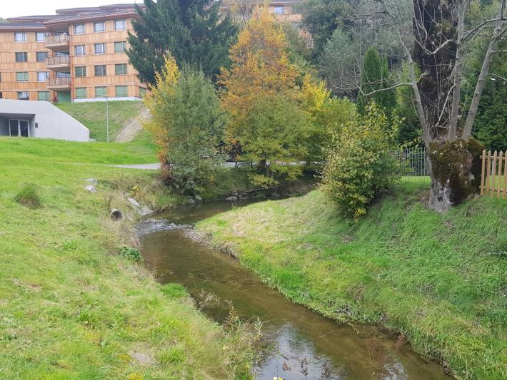 Goldibach im Sammelbüel in Teufen