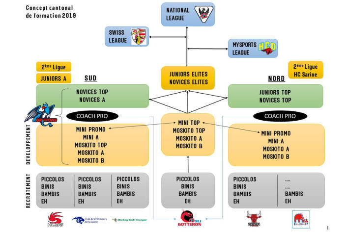 Organigramm des neuen Freiburger Ausbildungskonzept.