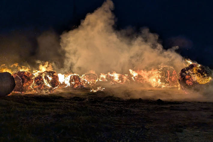 Die Brandursache ist bisher nicht bekannt.