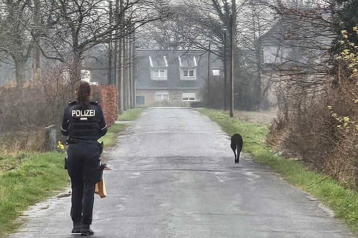 Polizistin und das Känguru