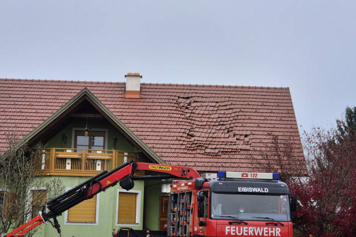 Der 20-Jährige befand sich allein im Haus.