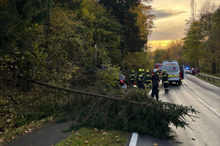 Im Einsatz standen die Freiwilligen Feuerwehren Peggau und Friesach.